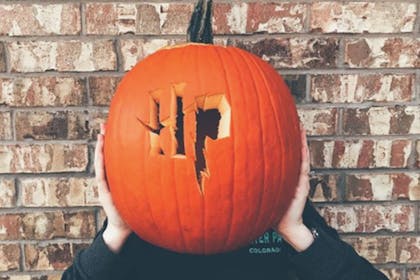 HP pumpkin