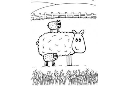 2. Spring lambs