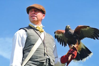 Falconry displays at Fort Nelson