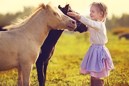 Child petting pony