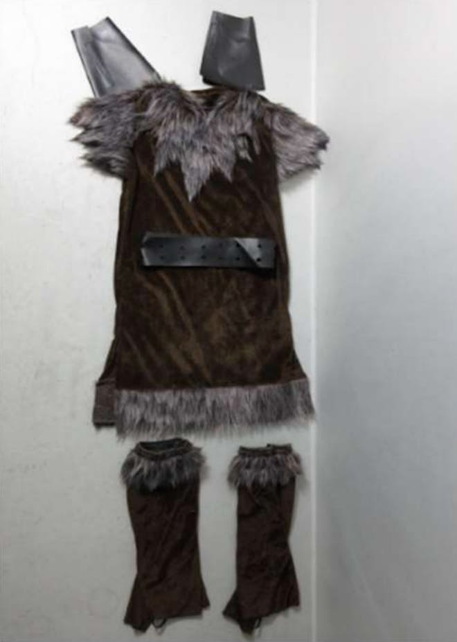 Party Delights viking costume
