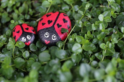 two sones painted to look like ladybirds