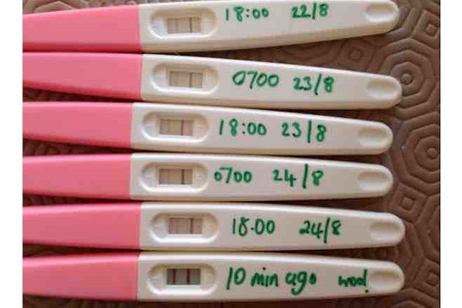 Ovulation tests going from negative to positive from user Hay96ggj