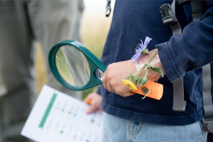 Child holding magnifying glass for scavenger hunt game 