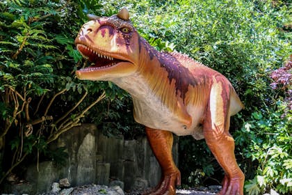Dinosaur Safari at Blackpool Zoo