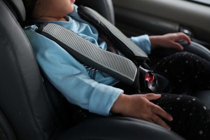 26. Live and breathe all things car seat related