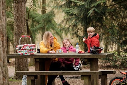 A picnic in Delamere Forest, Cheshire