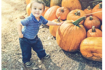 little boy with pumpkins