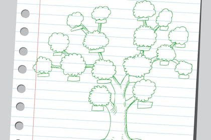 hand drawn family tree