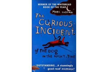 the curious incident of the dog in the night book cover