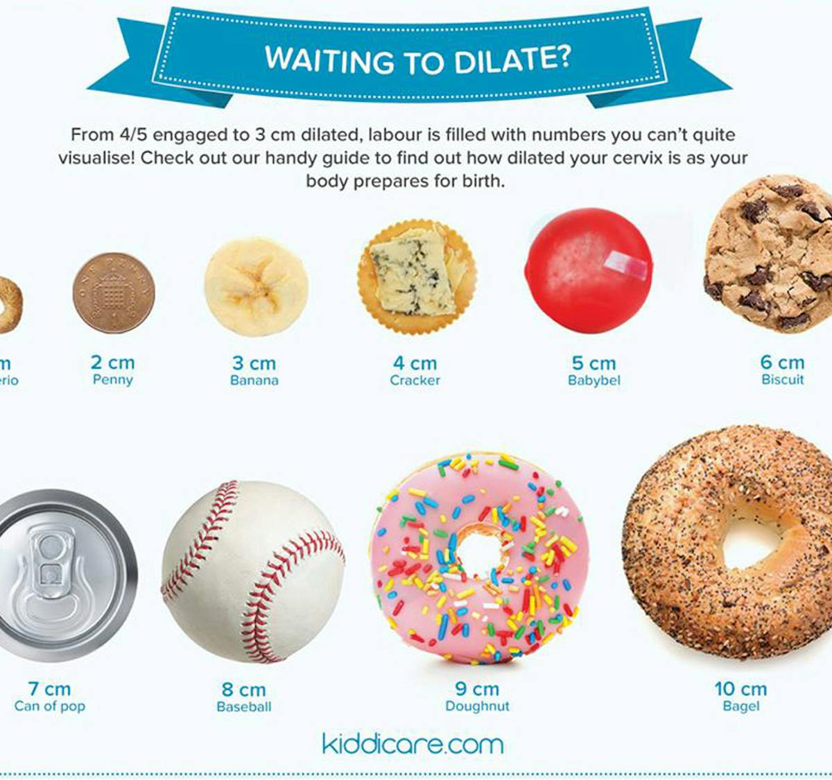 The Brilliant Chart That Helps You Visualise Your Dilated Cervix - Netmums