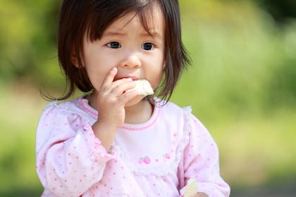 Top 10 toddler snacks on the go