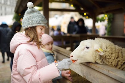 Children feeding sheep at a petting zoo