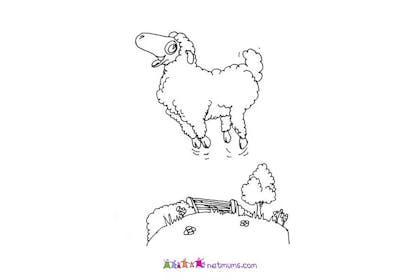 bouncing sheep colouring in picture