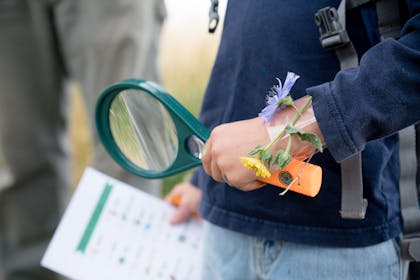 Child holding magnifying glass and scavenger hunt list with flowers on wrist