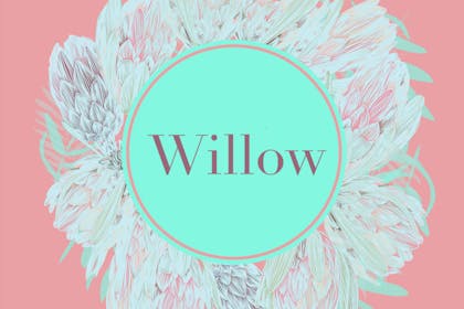13. Willow