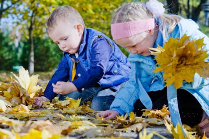 children hunting in autumn leaves
