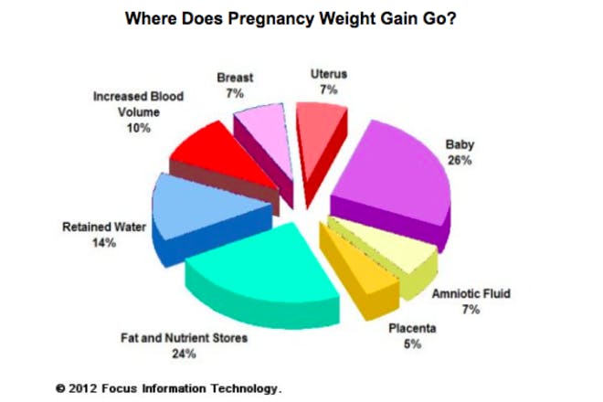 A pie chart illustrating what pregnancy weight is comprised of