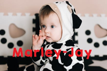 26. Marley-Jay