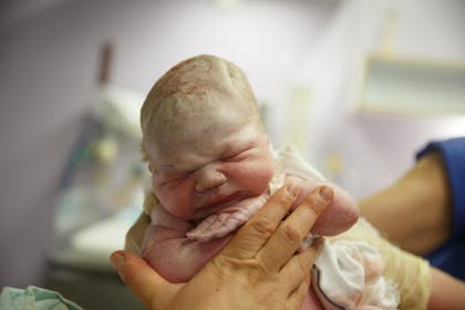 newborn baby being held up