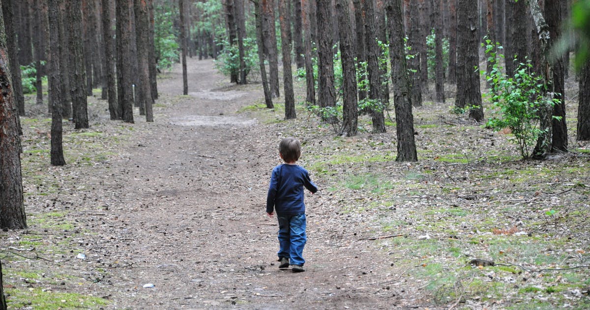 Оставила детей в лесу. Мальчик заблудился в лесу. Ребенок потерялся в лесу. Малыш который затерялся в лесу. Мальчик заблудился в лесу фотография.