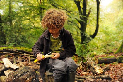 A young curly haired boy in wellies whittles a stick in the woods at Tyntesfield National Trust