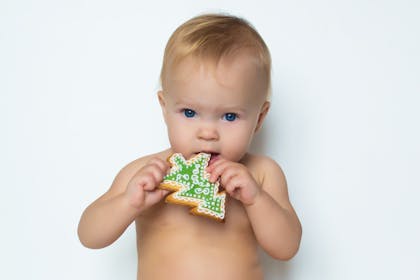 Baby eating a Christmas tree biscuit