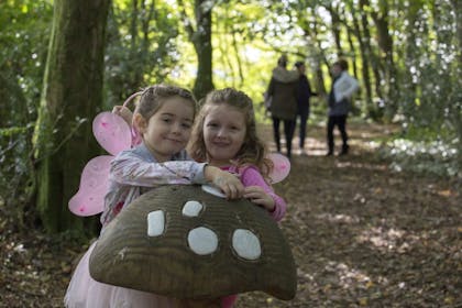Finding fairies in the Fairy Wood at National Botanic Gardens of Wales 