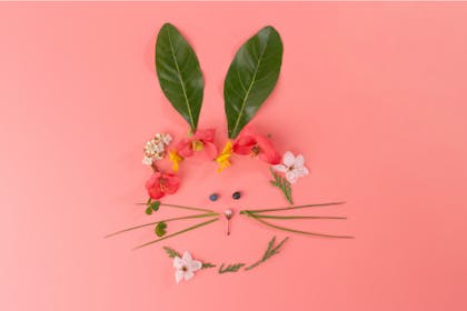Bunny rabbit collage craft made out of leaves and flowers