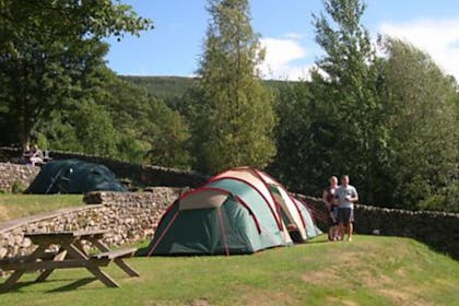 Castle Archdale camping