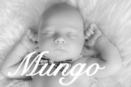 posh baby name Mungo