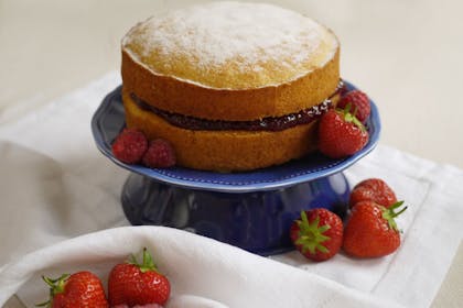 victorian sponge cake with strawberries