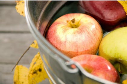 apple bobbing