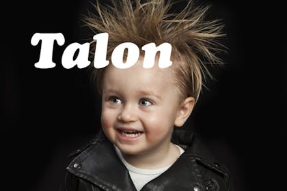 11. Talon
