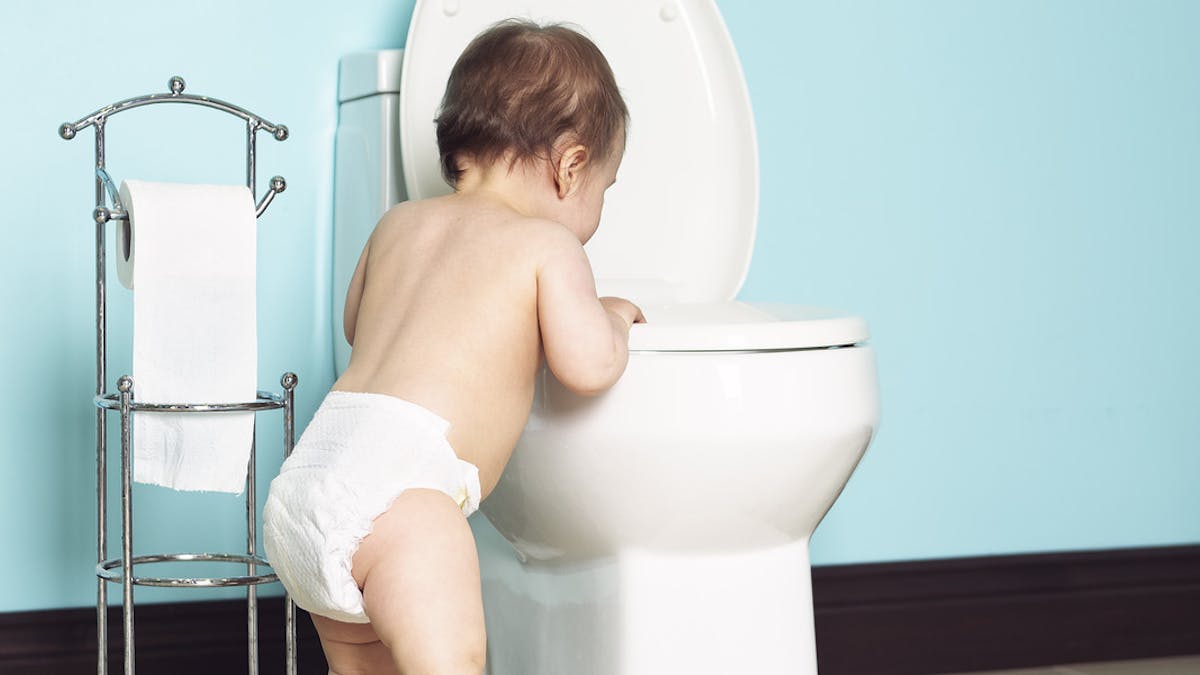 How to buy a toddler toilet seat and accessories - Netmums Reviews