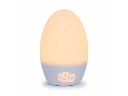1.  Gro-Egg 2 Room Thermometer