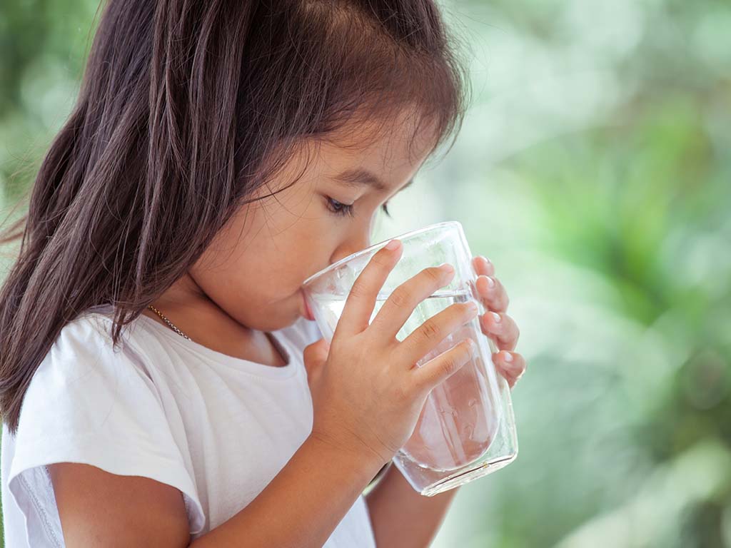 The best water filter jugs and accessories Netmums Reviews