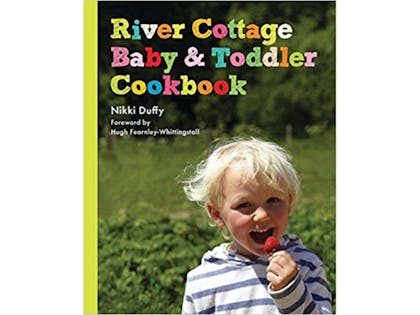 9. River Cottage Baby and Toddler Cookbook