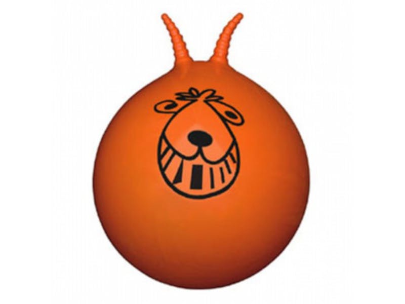 space hopper animal