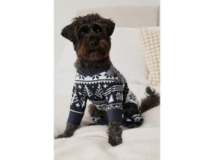 Dog wearing Christmas pyjamas