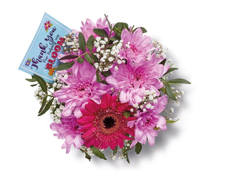 Lidl launches teachers' gifts range from just £1.99 Netmums Reviews