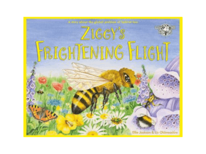 Ziggy's frightening flight