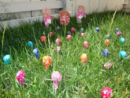 3. Lollipop garden