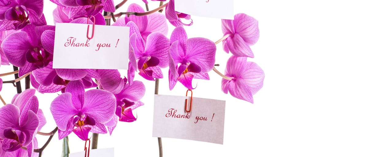 Lidl launches teachers' gifts range from just £1.99 Netmums Reviews