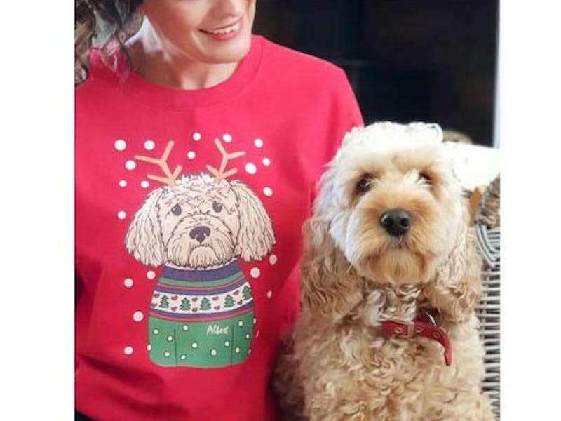 Little pudding maternity jumper ⋆ christmas jumpers, christmas pudding The best Christmas jumpers for women 2021 - Netmums Reviews