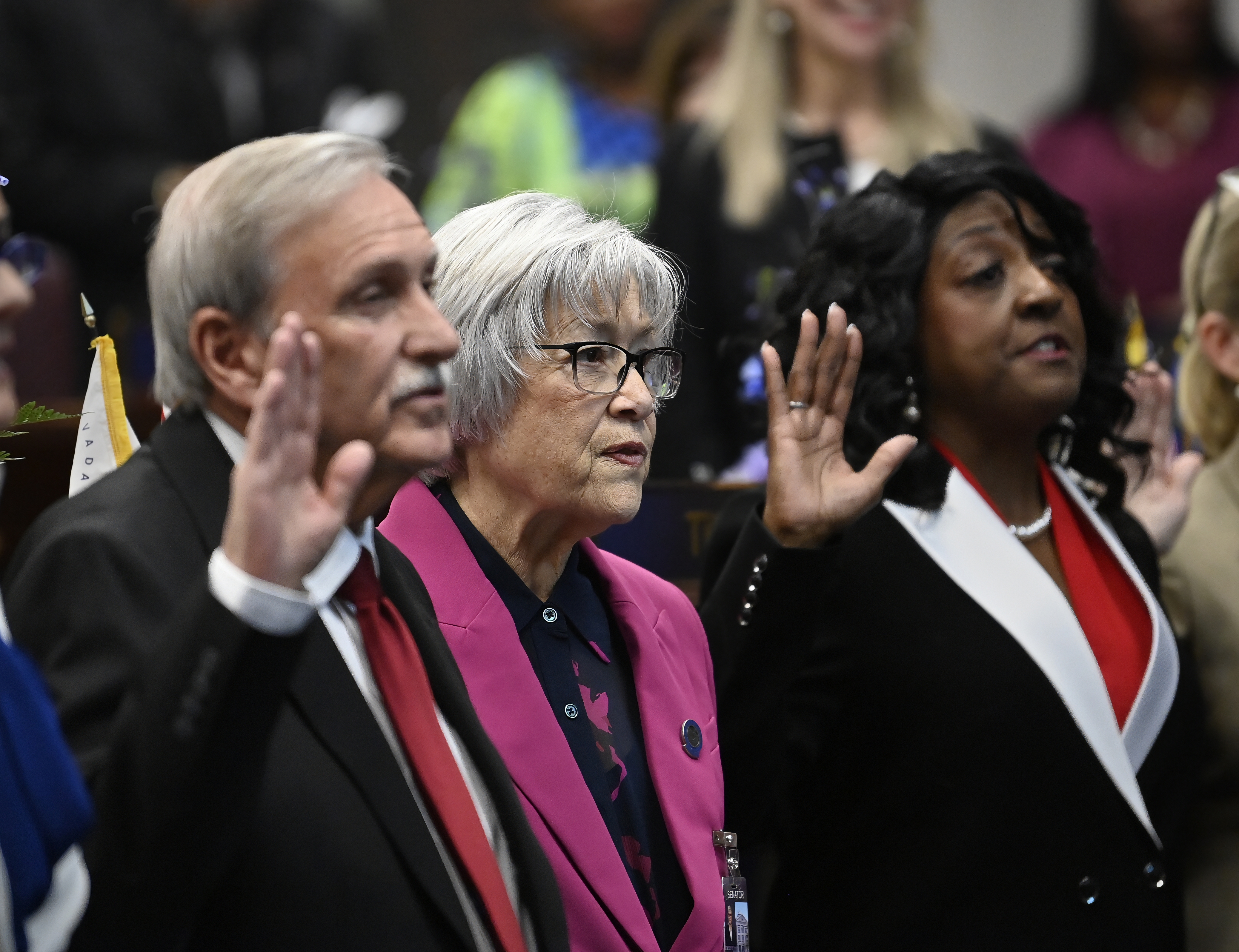Senators taking the Oath of Office on the opening day of the 83rd Session of the Nevada Legislature.