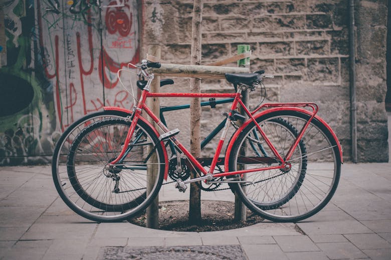 Vélo attaché à un arbre