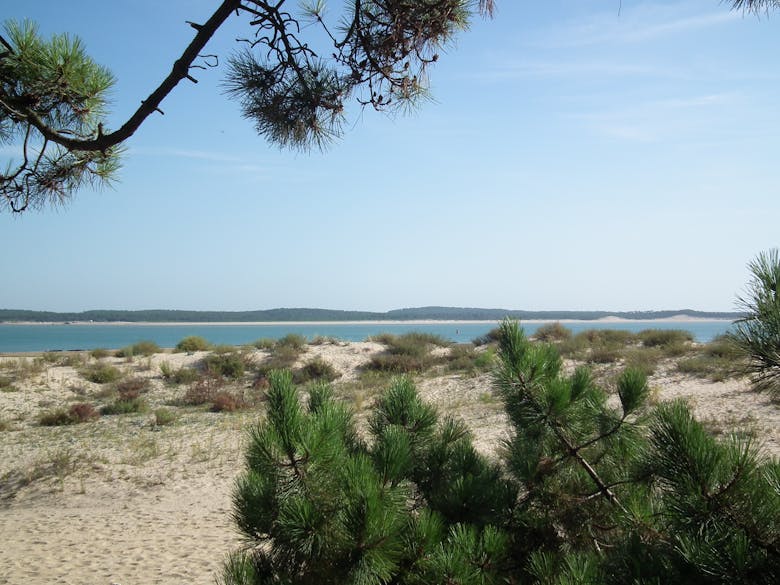 Côte sauvage de la pointe de Gatseau - © Wikipédia