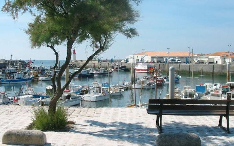 Le port de la Cotinière - © oleron.fr