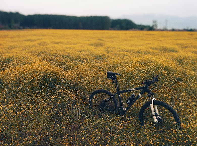 Un VTT arrêté dans un champ de fleurs jaunes